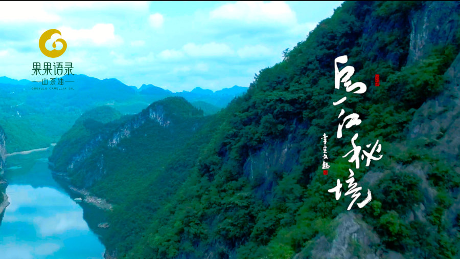 果果语录山茶油-开业宣传片